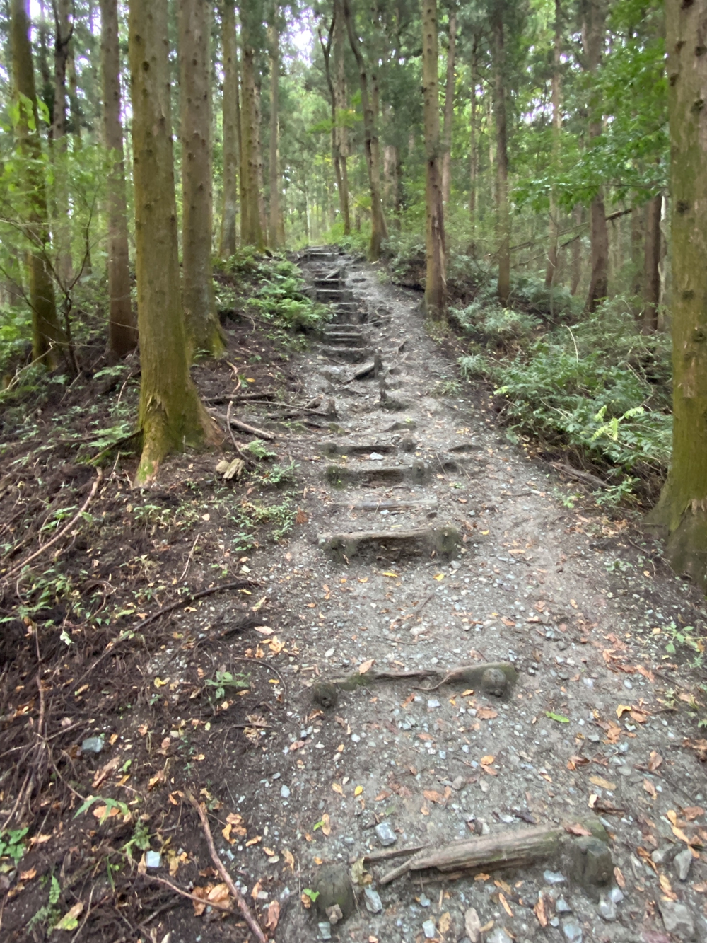 長瀞アルプスと岩畳をくるっと一周の写真7