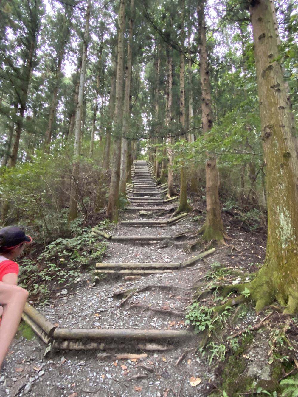 長瀞アルプスと岩畳をくるっと一周の写真8