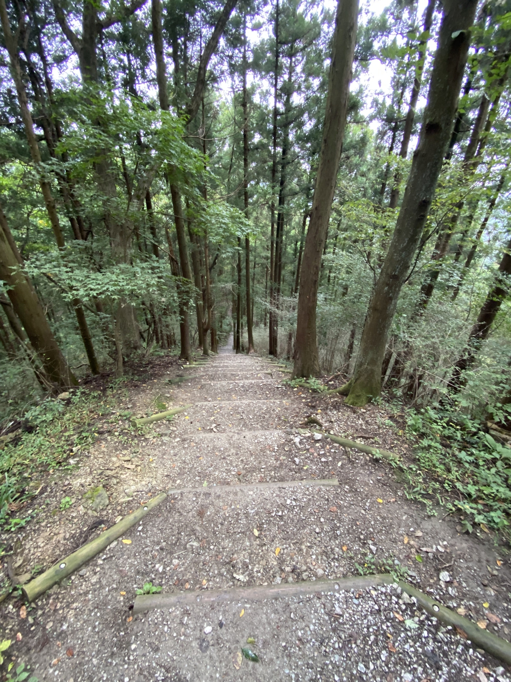 長瀞アルプスと岩畳をくるっと一周の写真9
