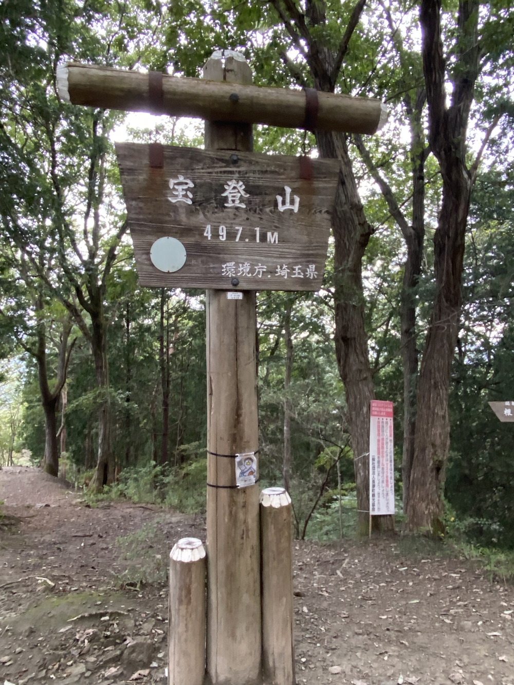 長瀞アルプスと岩畳をくるっと一周の写真11