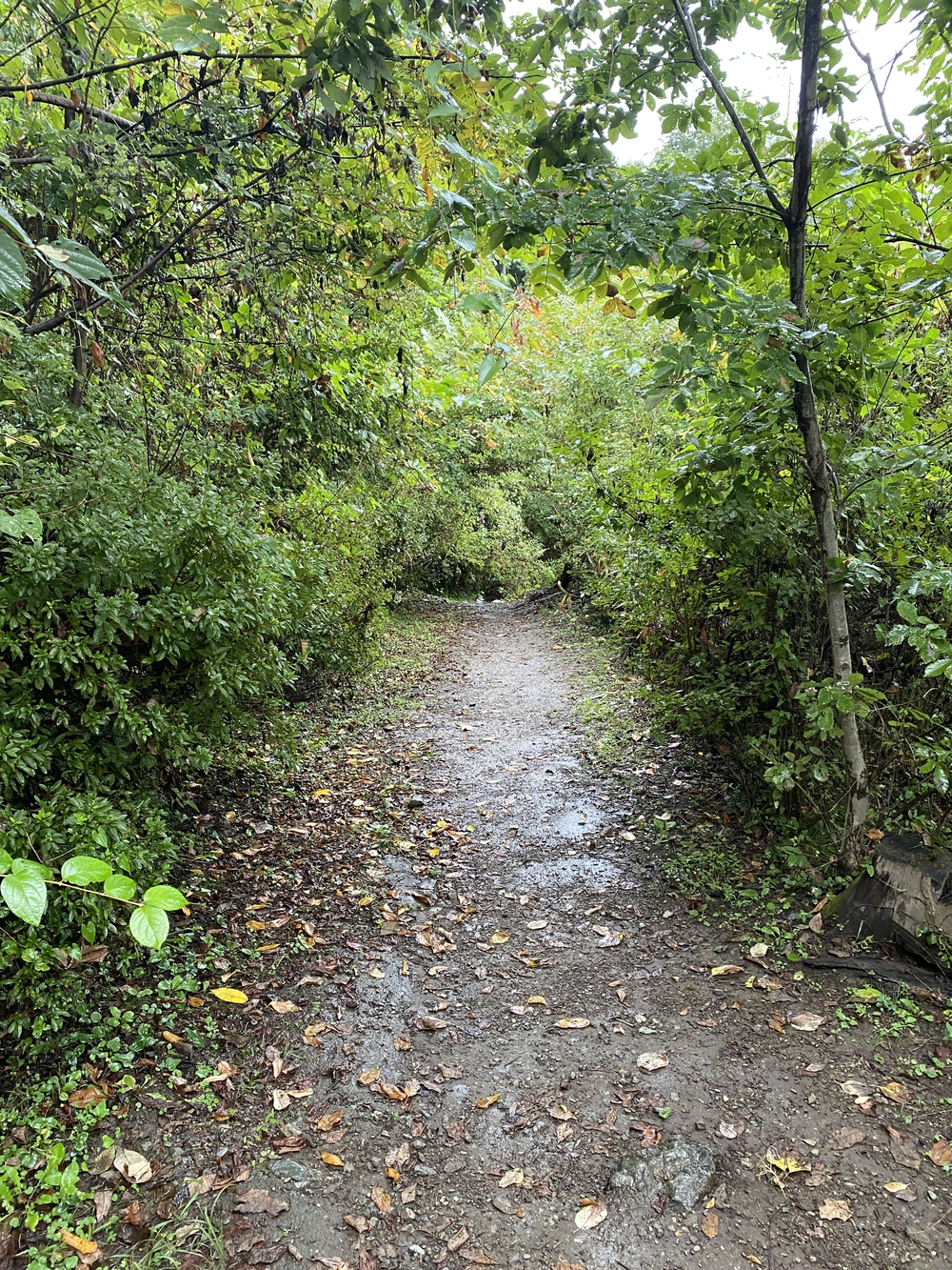 長瀞アルプスと岩畳をくるっと一周の写真15