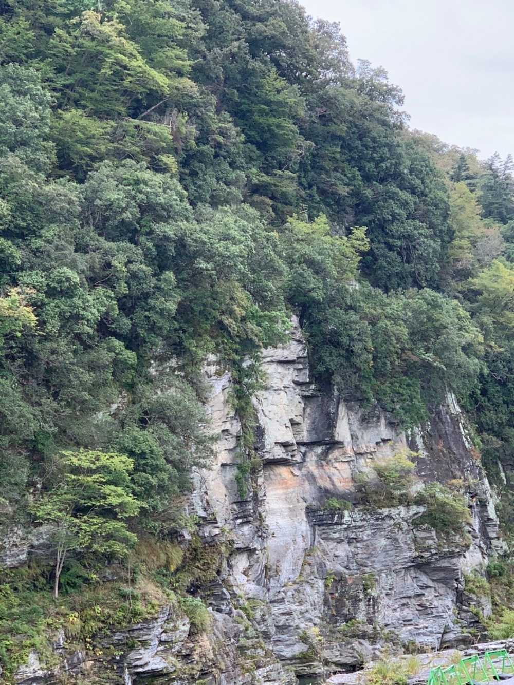 長瀞アルプスと岩畳をくるっと一周の写真23