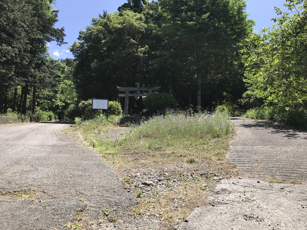 甲府満喫！11kの写真5