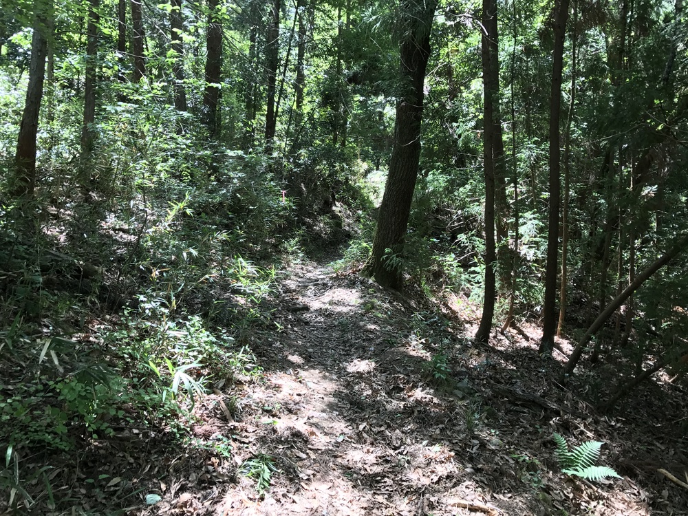 甲府満喫！11kの写真6