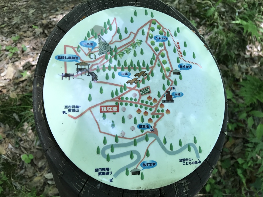 甲府満喫！11kの写真7