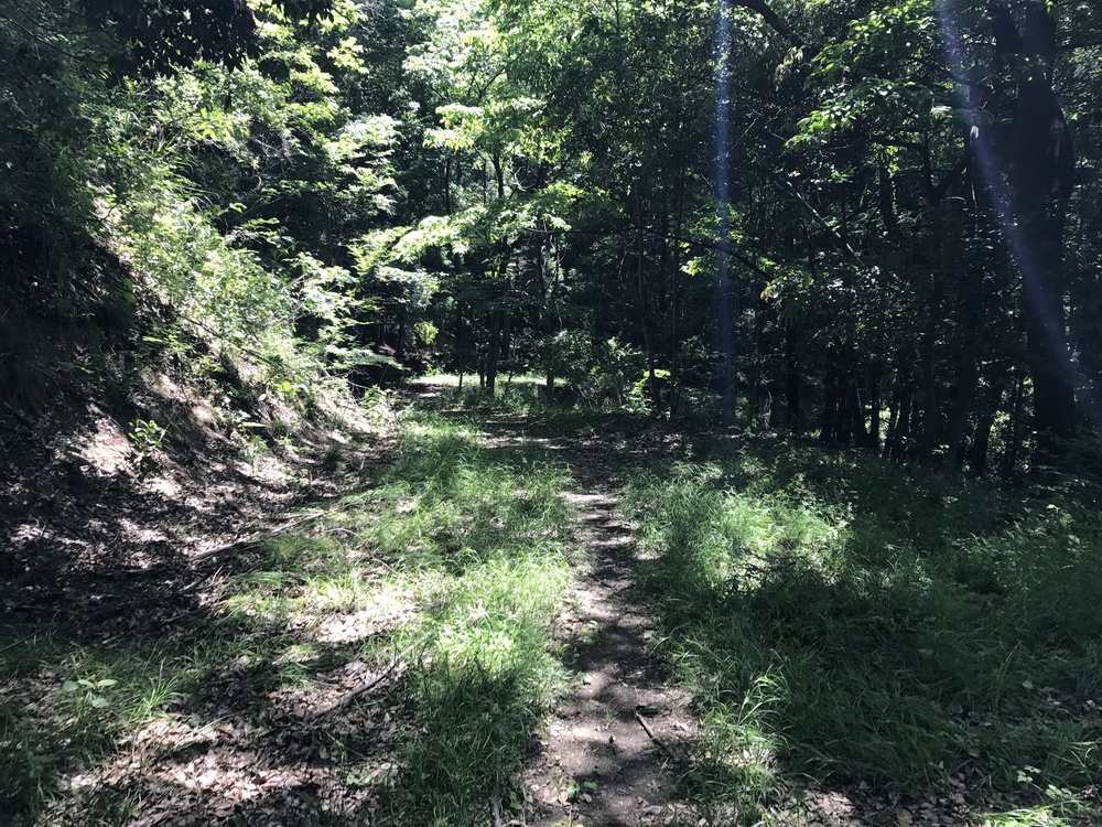 甲府満喫！11kの写真9