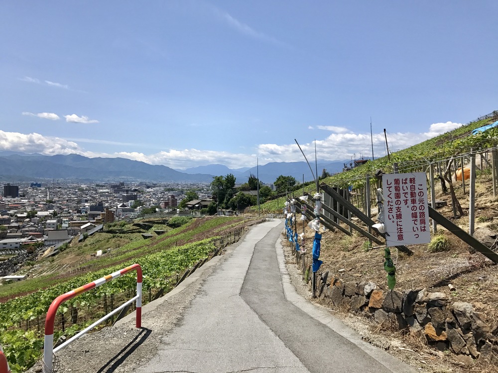 甲府満喫！11kの写真10