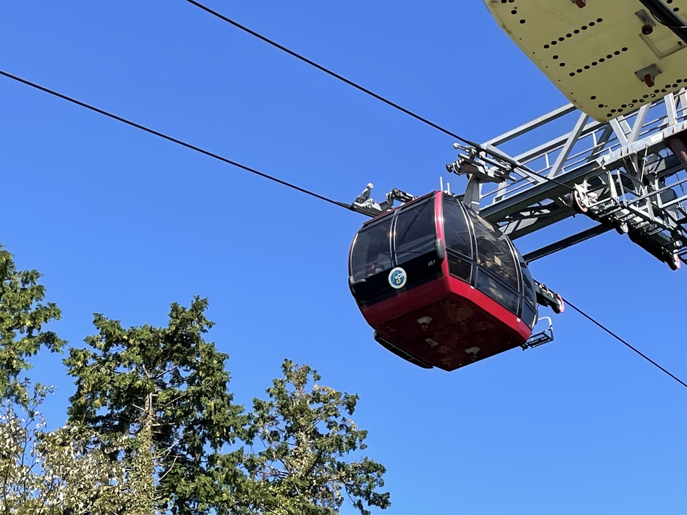 箱根の北半分 (本来ならバス、ロープウェイ、ケーブルカーで回る名所)の写真3