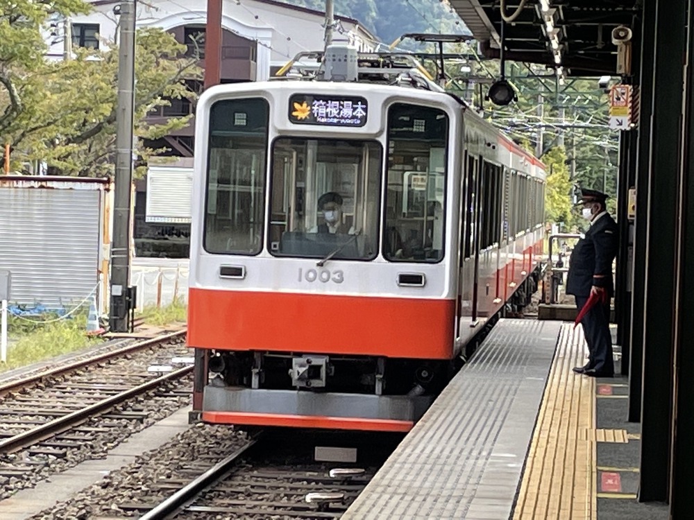 箱根の北半分 (本来ならバス、ロープウェイ、ケーブルカーで回る名所)の写真8