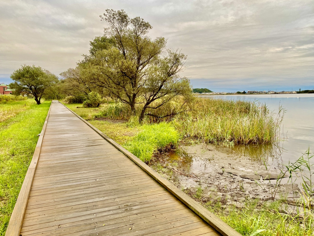 牛久沼〜河童を尋ねての写真3