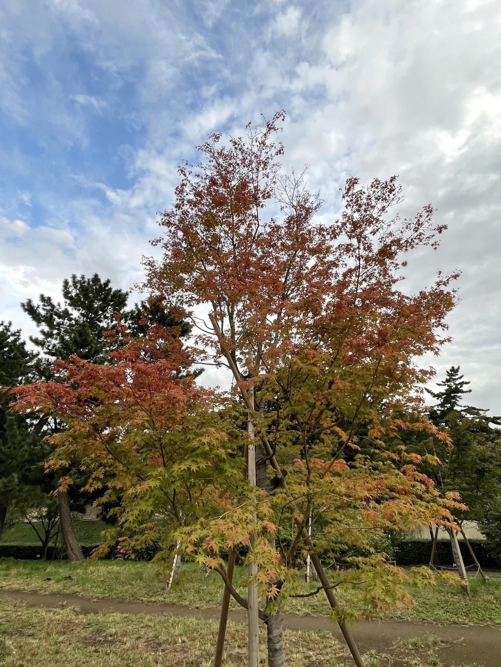 歌川広重と共にRUN 桜田門の写真7