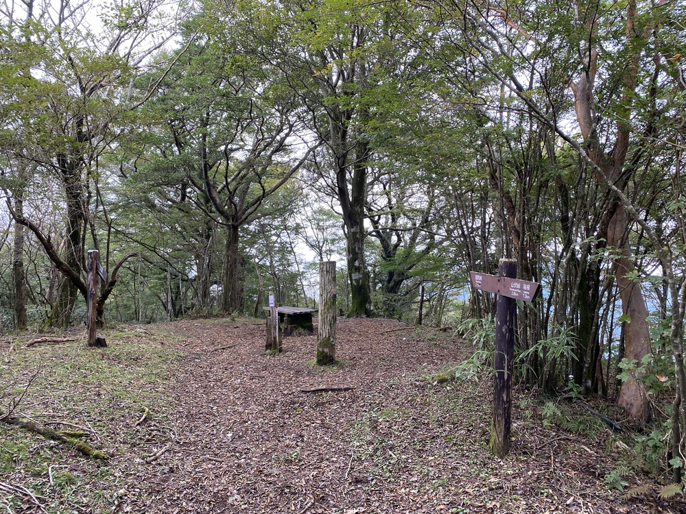 芦ノ湖西側周回コースの写真4