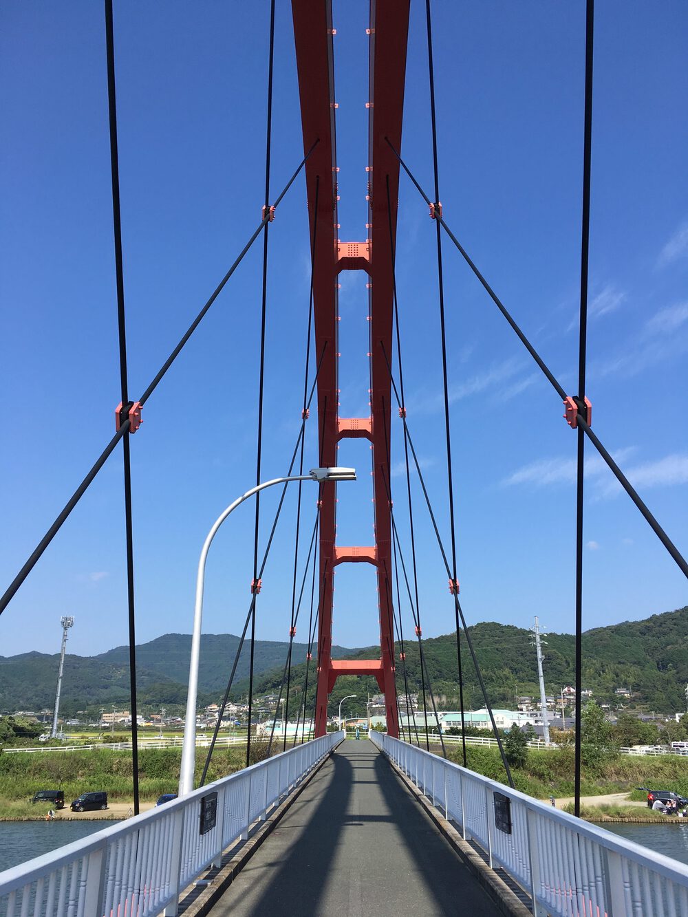 ハマイチ(礫島まわり)の写真3