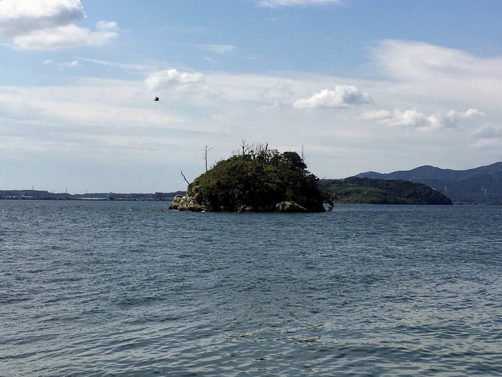 ハマイチ(礫島まわり)の写真4