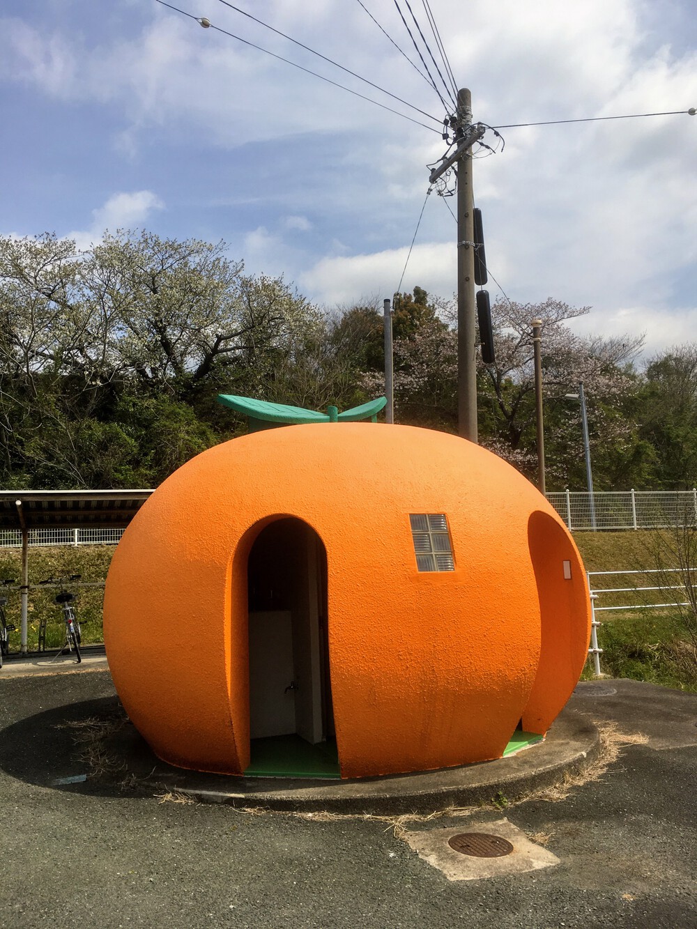 ハマイチ(三ヶ日まわり)の写真4