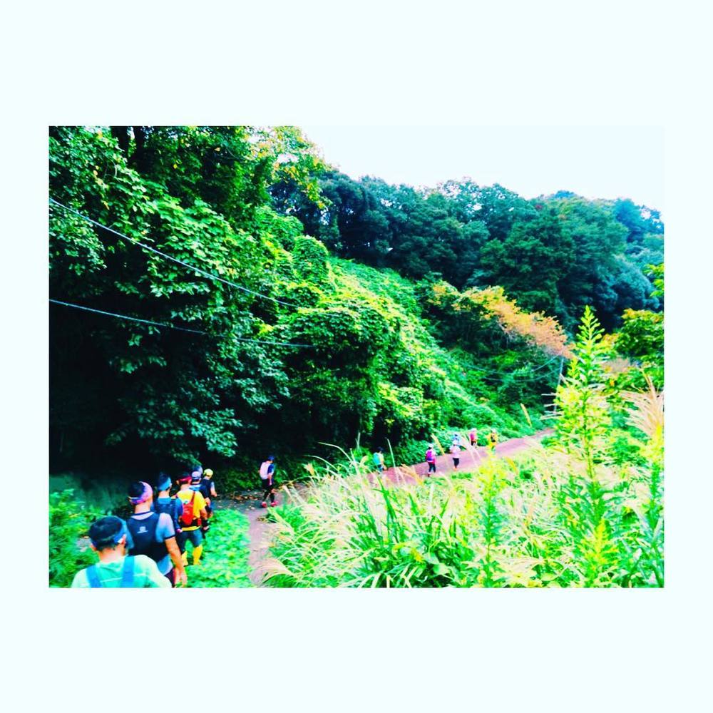 不安いっぱいなアナタのための鎌倉トレイルツアー（入門コース）の写真3