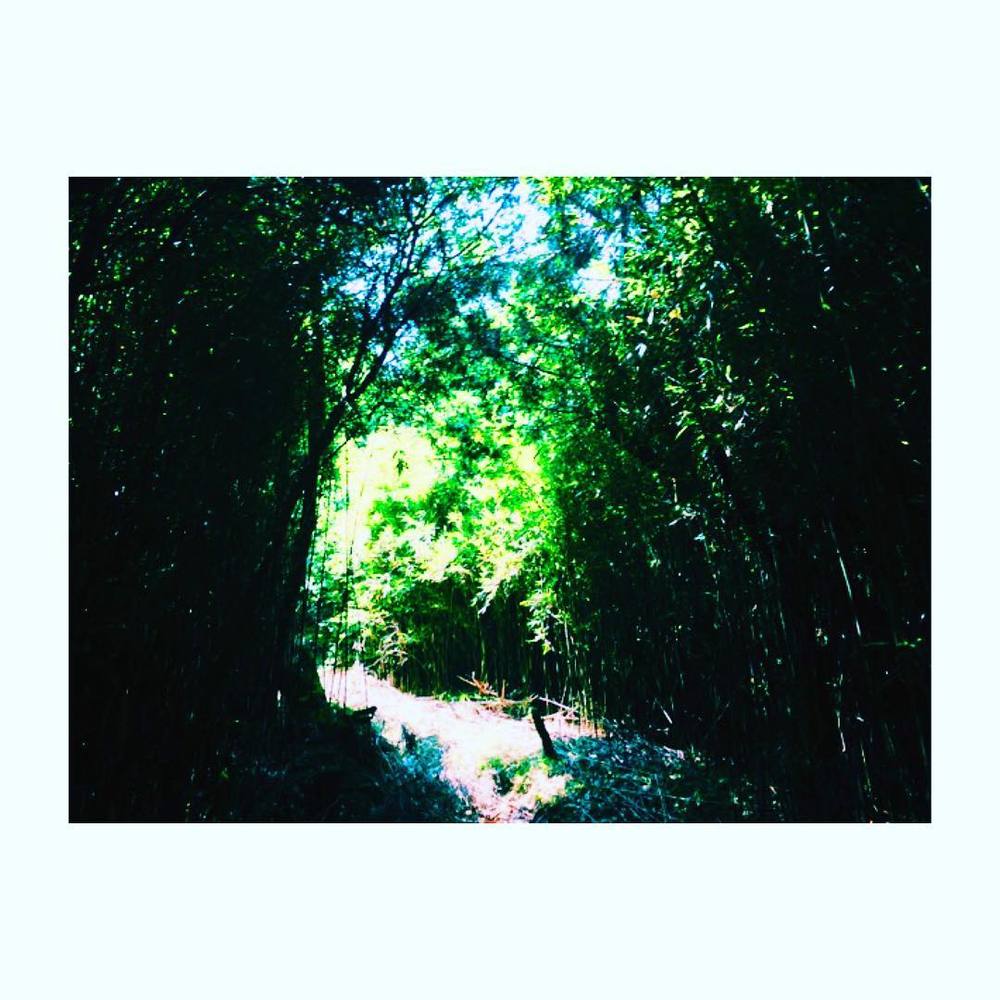 不安いっぱいなアナタのための鎌倉トレイルツアー（入門コース）の写真4