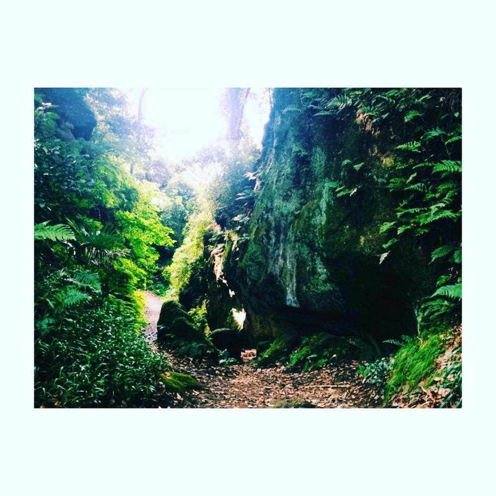 不安いっぱいなアナタのための鎌倉トレイルツアー（入門コース）の写真5