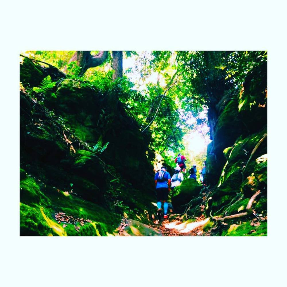 不安いっぱいなアナタのための鎌倉トレイルツアー（入門コース）の写真6