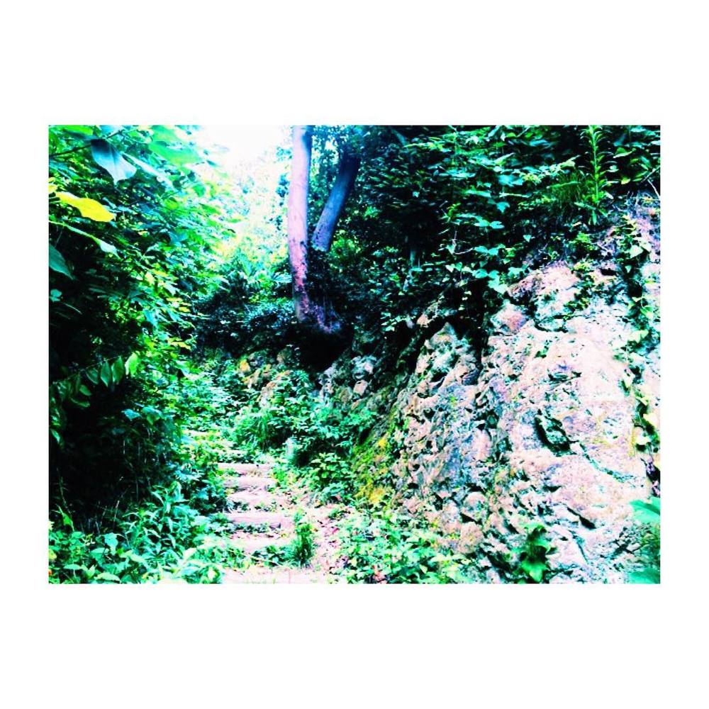 不安いっぱいなアナタのための鎌倉トレイルツアー（入門コース）の写真7