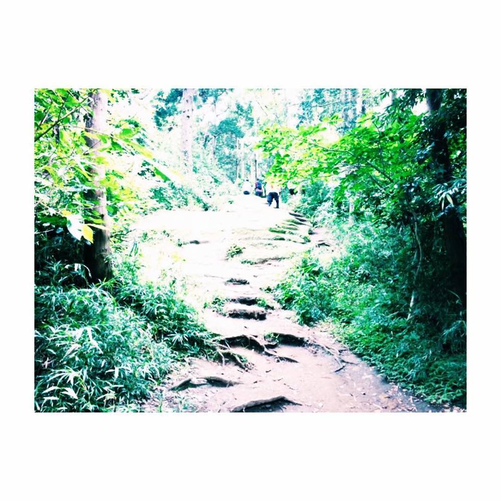 不安いっぱいなアナタのための鎌倉トレイルツアー（入門コース）の写真8