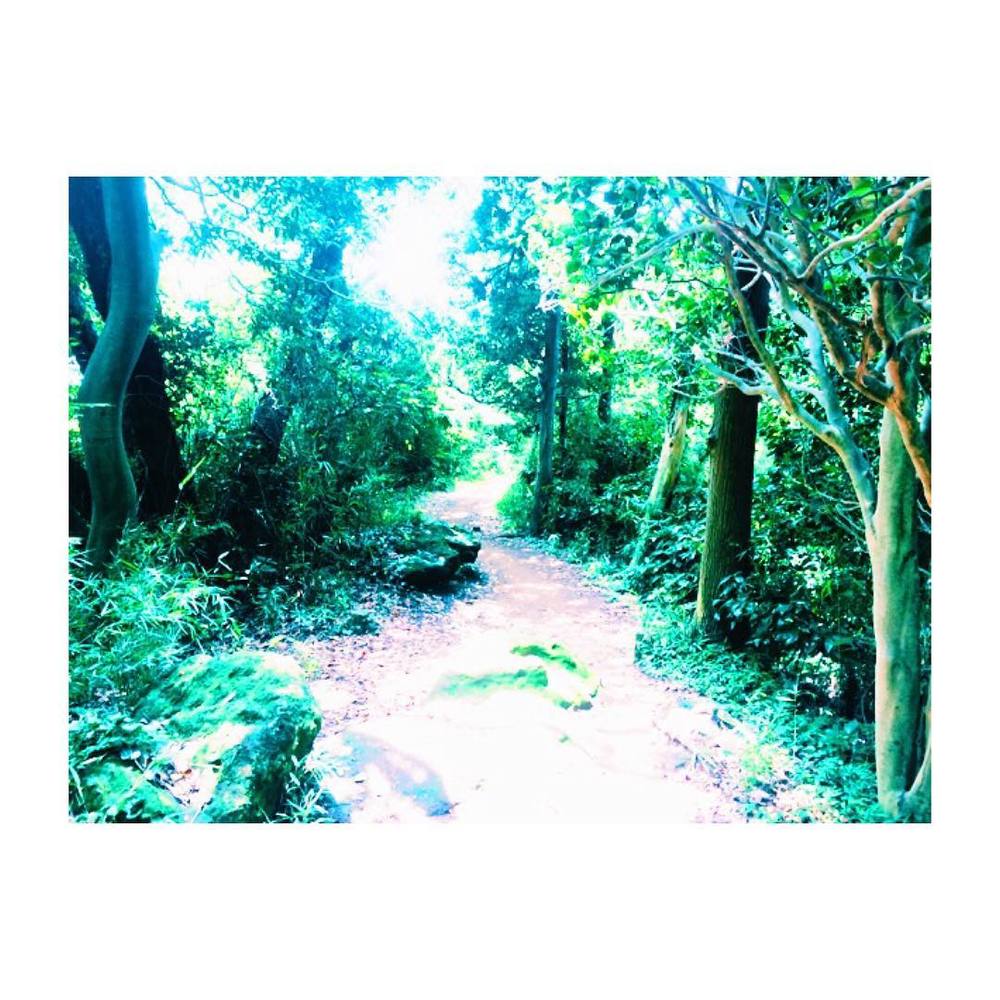 不安いっぱいなアナタのための鎌倉トレイルツアー（入門コース）の写真9