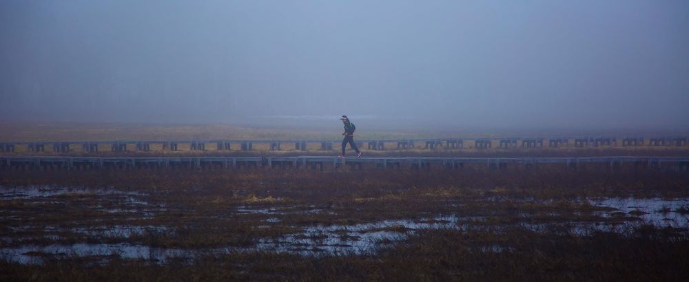 花鳥風月・尾瀬ケ原の写真3