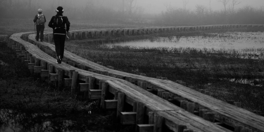 花鳥風月・尾瀬ケ原の写真5