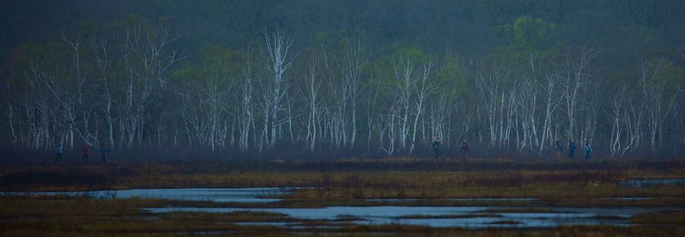 花鳥風月・尾瀬ケ原の写真6