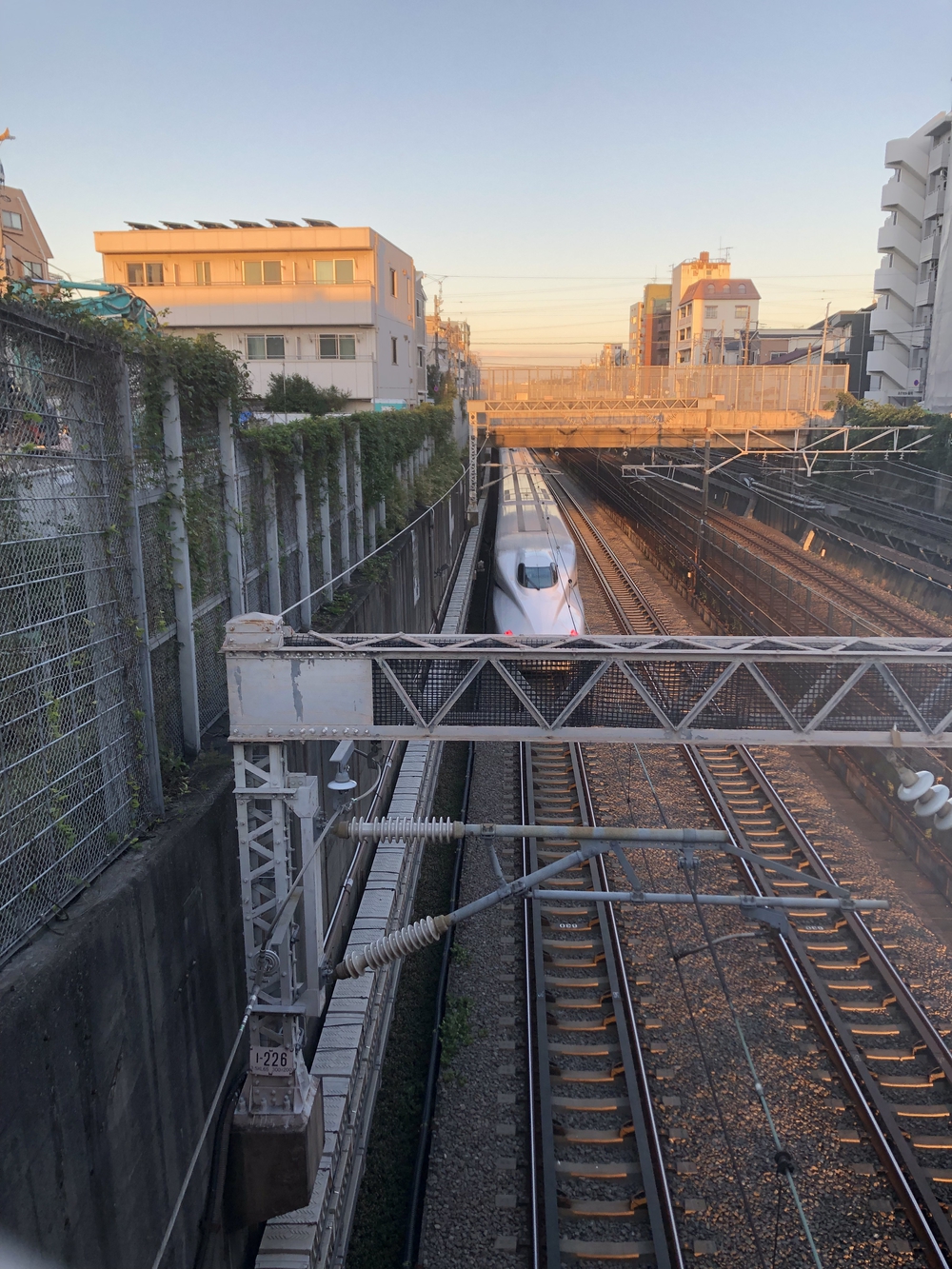 環八通り糀谷・田園調布往復15kmの写真3