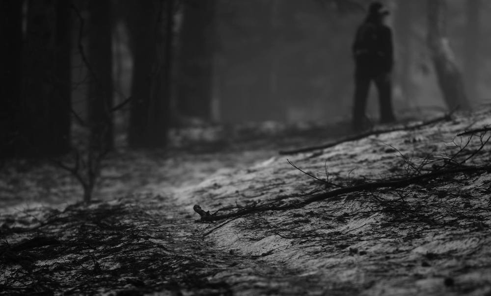 眺望絶佳・尾瀬沼の写真3