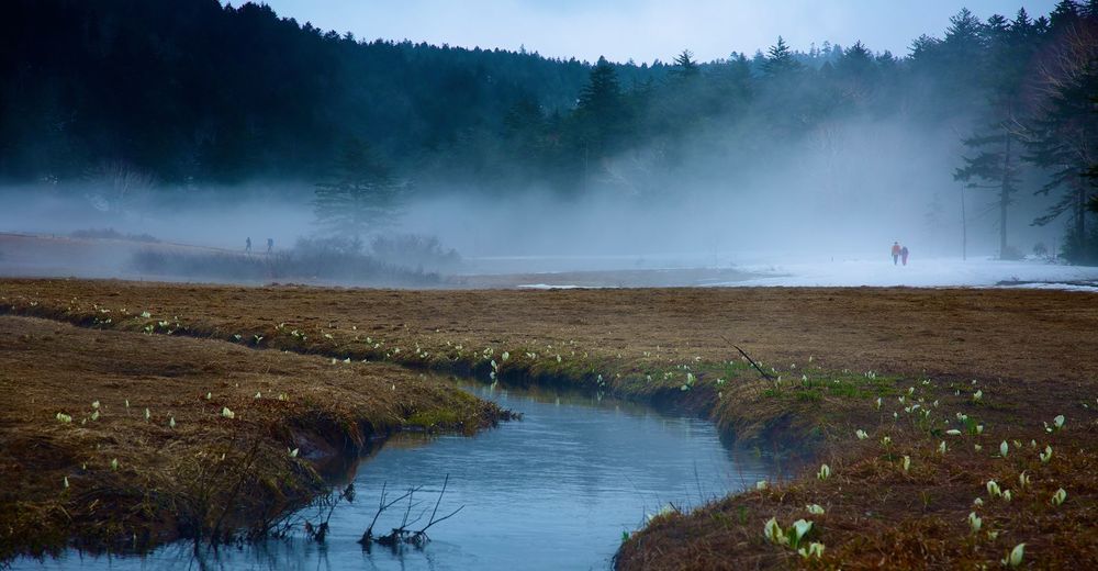 眺望絶佳・尾瀬沼の写真5