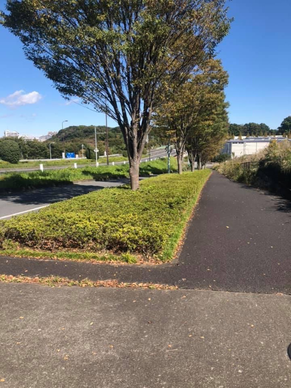 尾根幹線から多摩川〜二子玉川の写真4