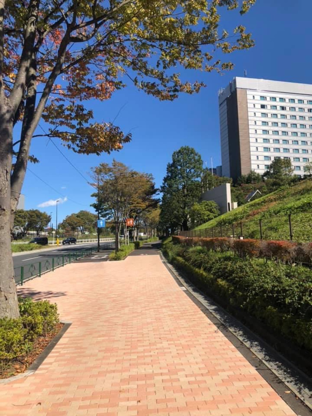 尾根幹線から多摩川〜二子玉川の写真6