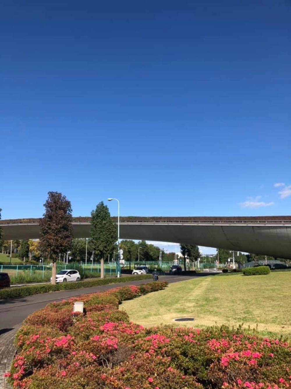 尾根幹線から多摩川〜二子玉川の写真8