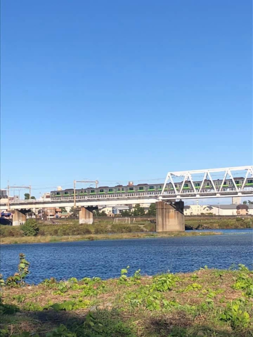 尾根幹線から多摩川〜二子玉川の写真9