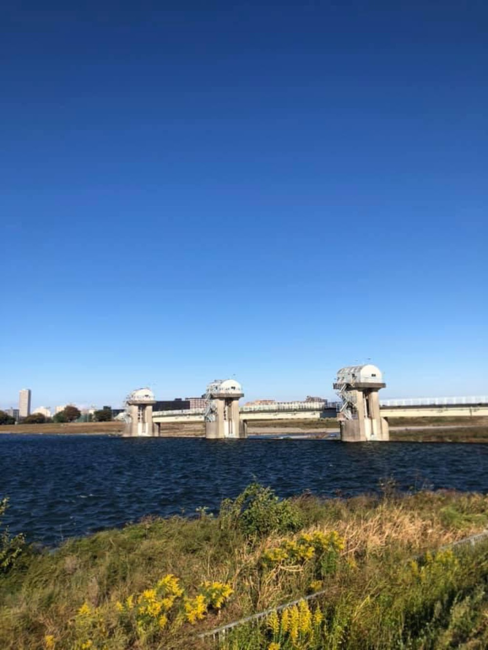 尾根幹線から多摩川〜二子玉川の写真10