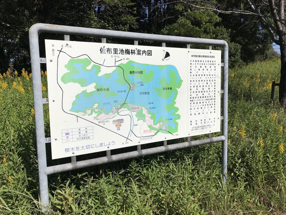 パークロードと佐布里池を楽しむゆるラン向けコースの写真5