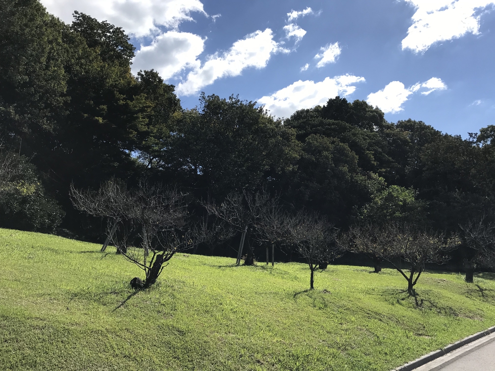 パークロードと佐布里池を楽しむゆるラン向けコースの写真7