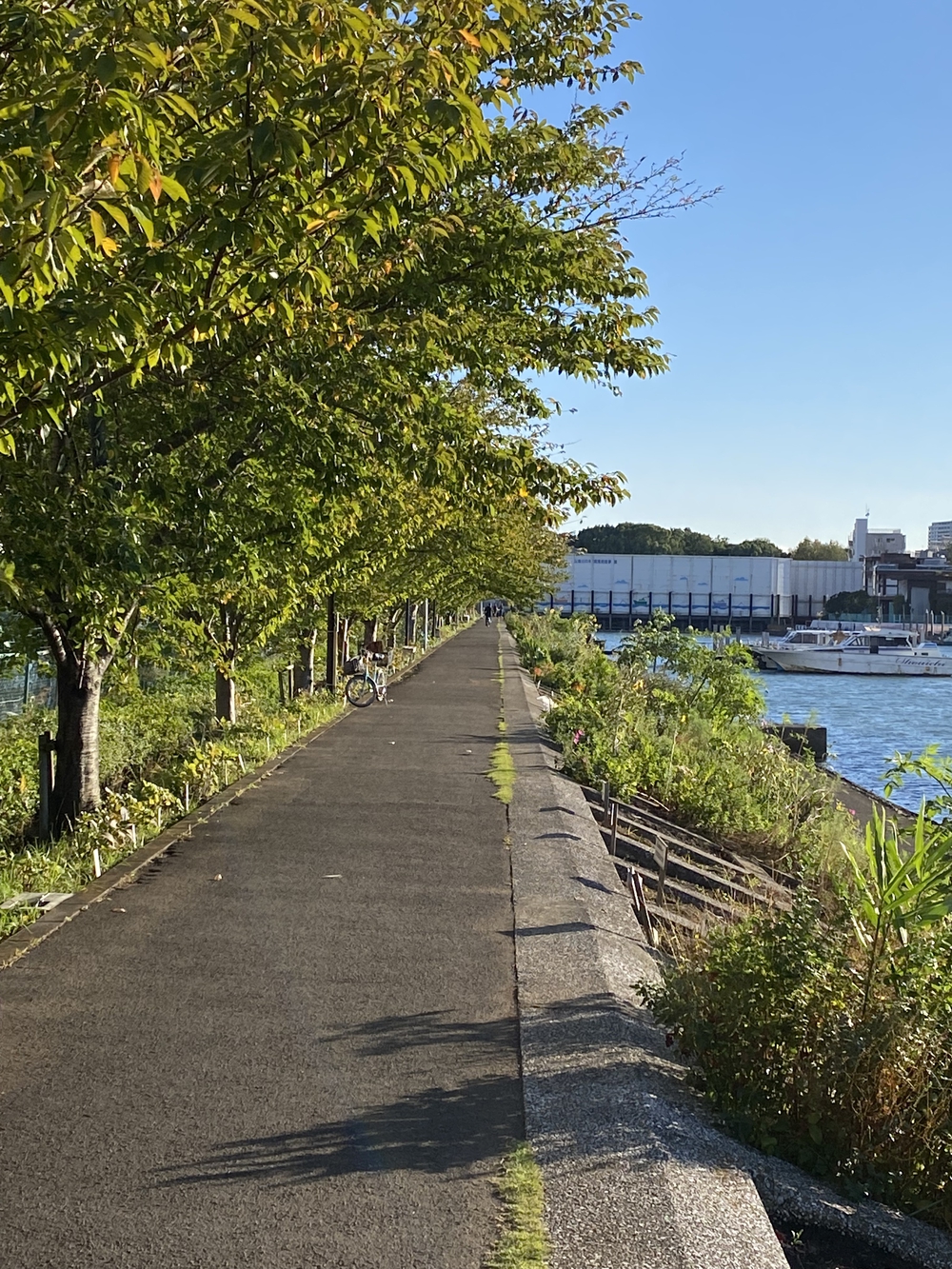 京浜運河　静かで走りやすいコース #VRWCの写真3