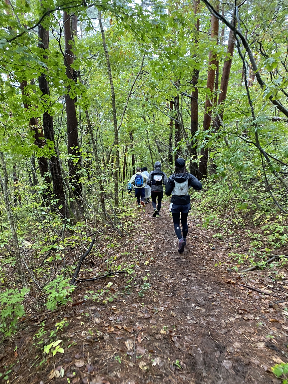 Nozawa-Spa Trail Race 2021の写真3