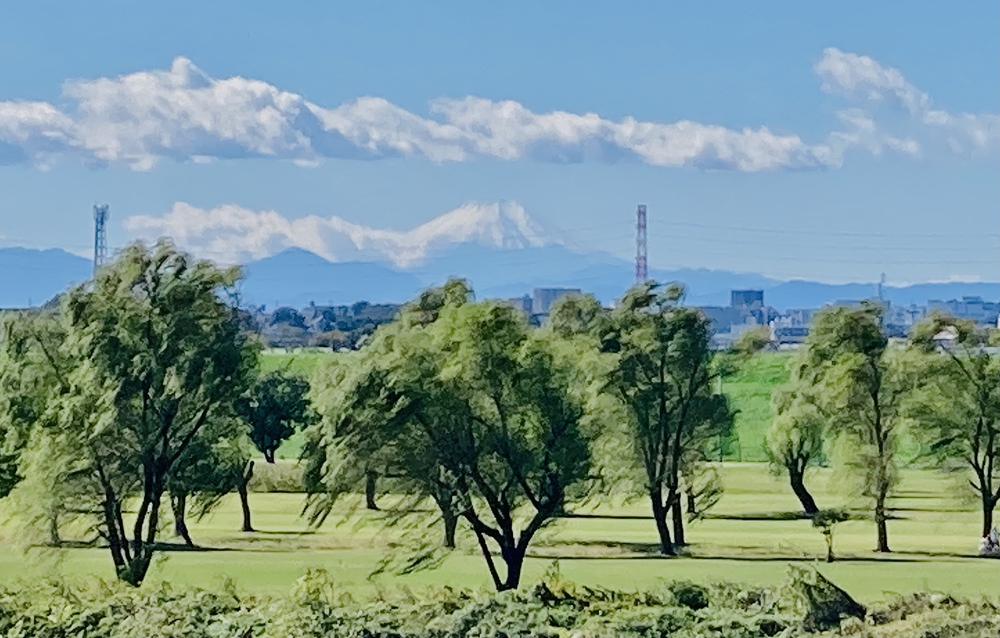 彩湖遊周コースの写真7