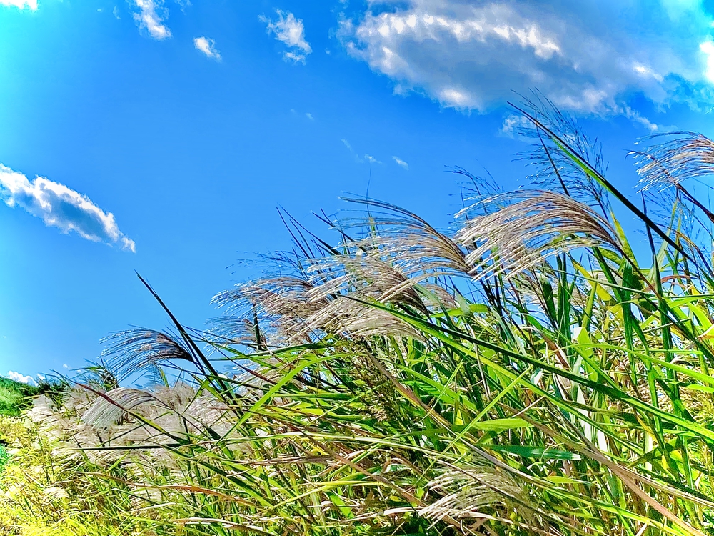 彩湖遊周コースの写真8