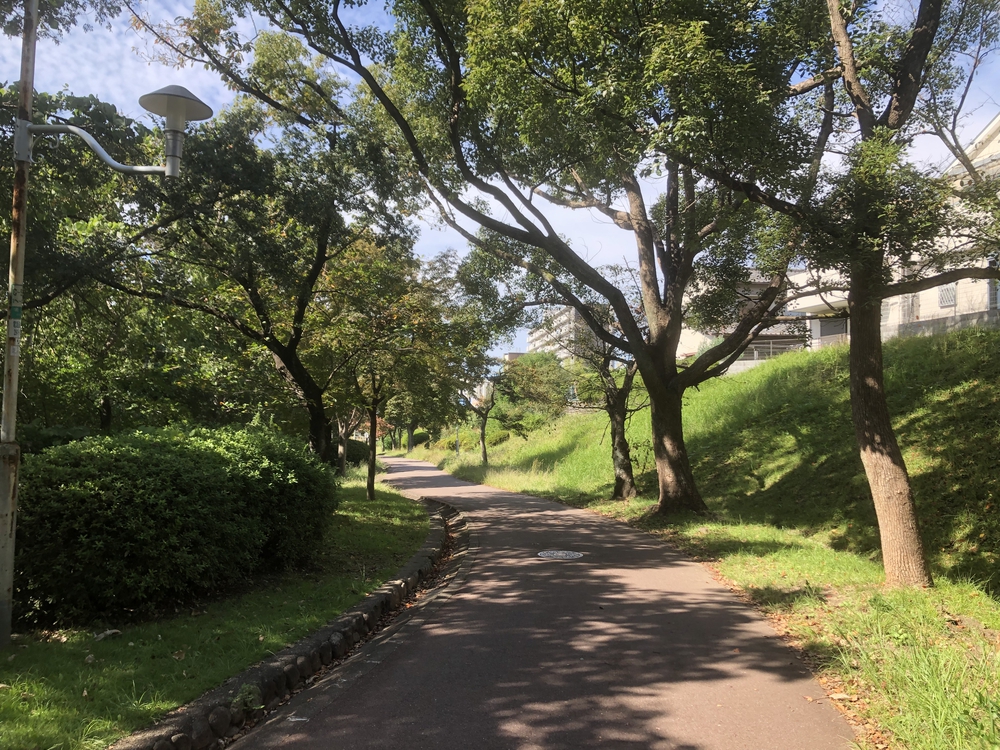 泉ヶ丘緑道10kmの写真3