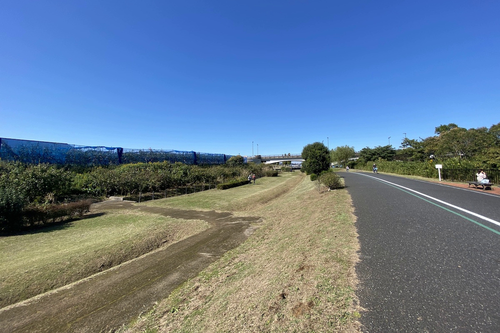 手賀沼自然ふれあい緑道往復コースの写真4