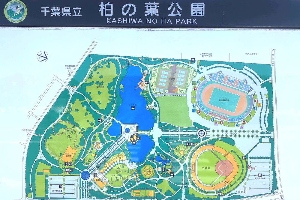 柏の葉公園の400mコースとウォーク&ラン周回コースの写真4