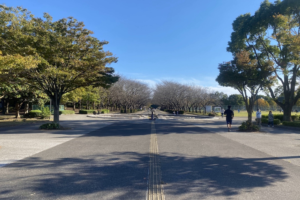 柏の葉公園の400mコースとウォーク&ラン周回コースの写真5