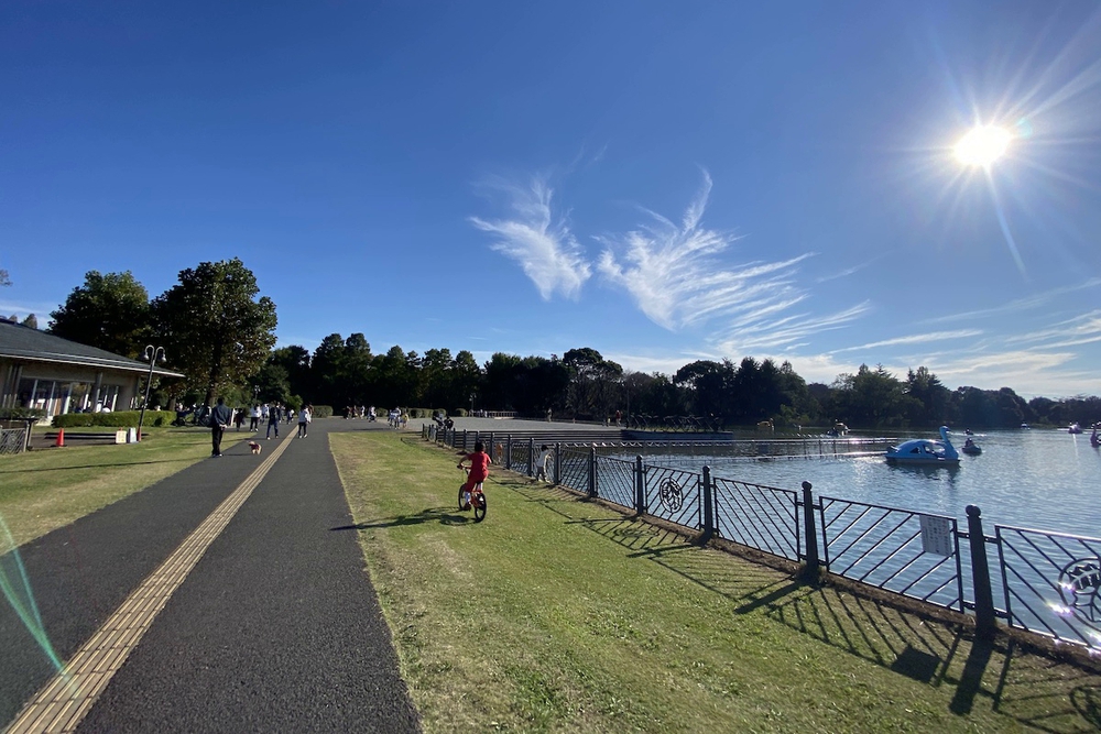 柏の葉公園の400mコースとウォーク&ラン周回コースの写真6