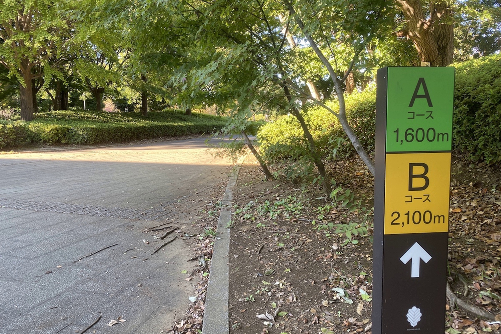 柏の葉公園の400mコースとウォーク&ラン周回コースの写真7