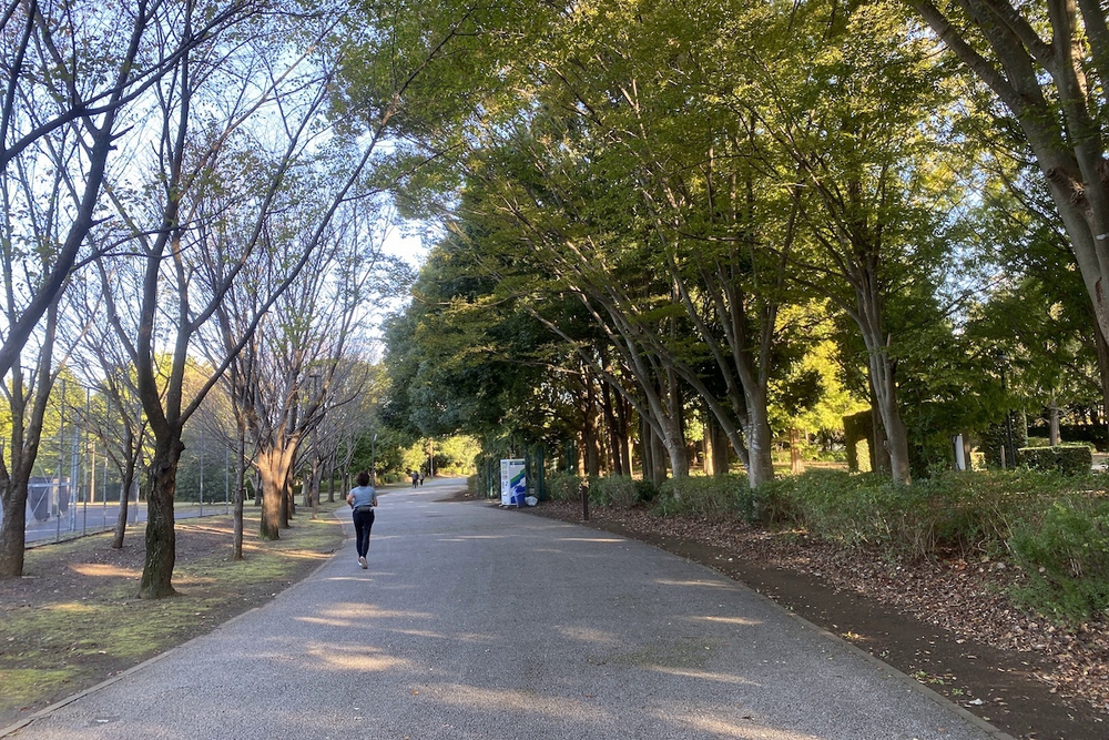 柏の葉公園の400mコースとウォーク&ラン周回コースの写真8